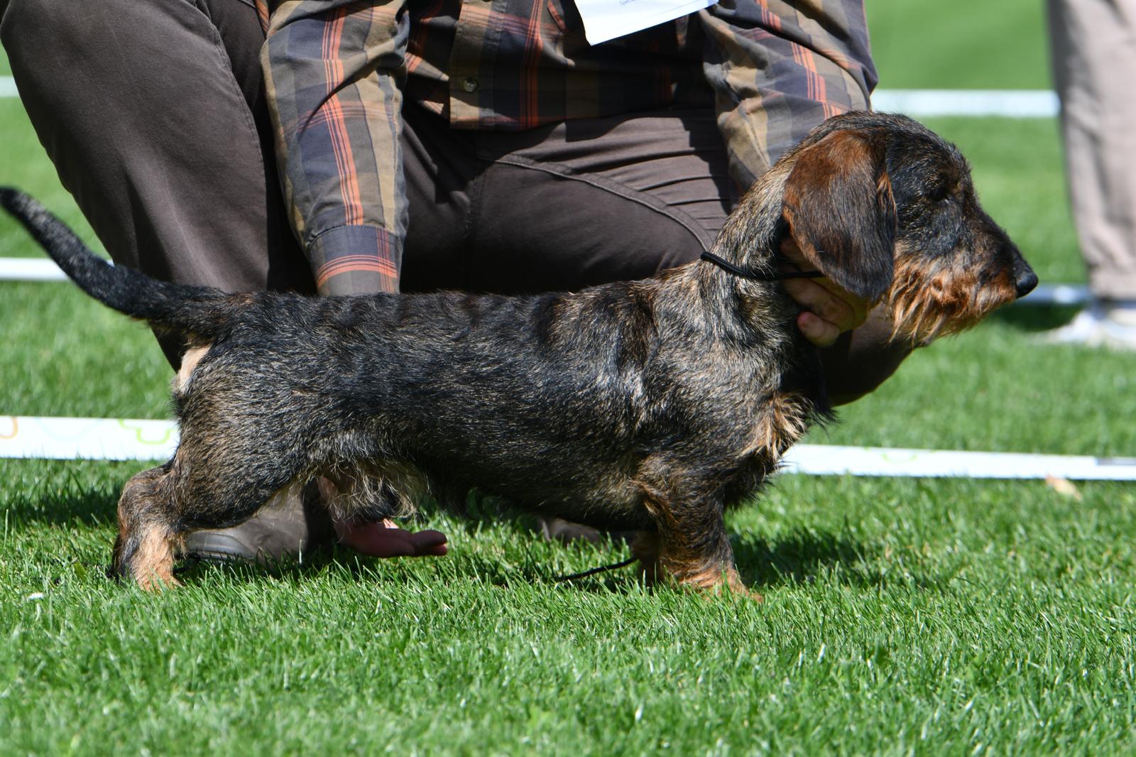 2. místo - Jonáš z Javorských luk