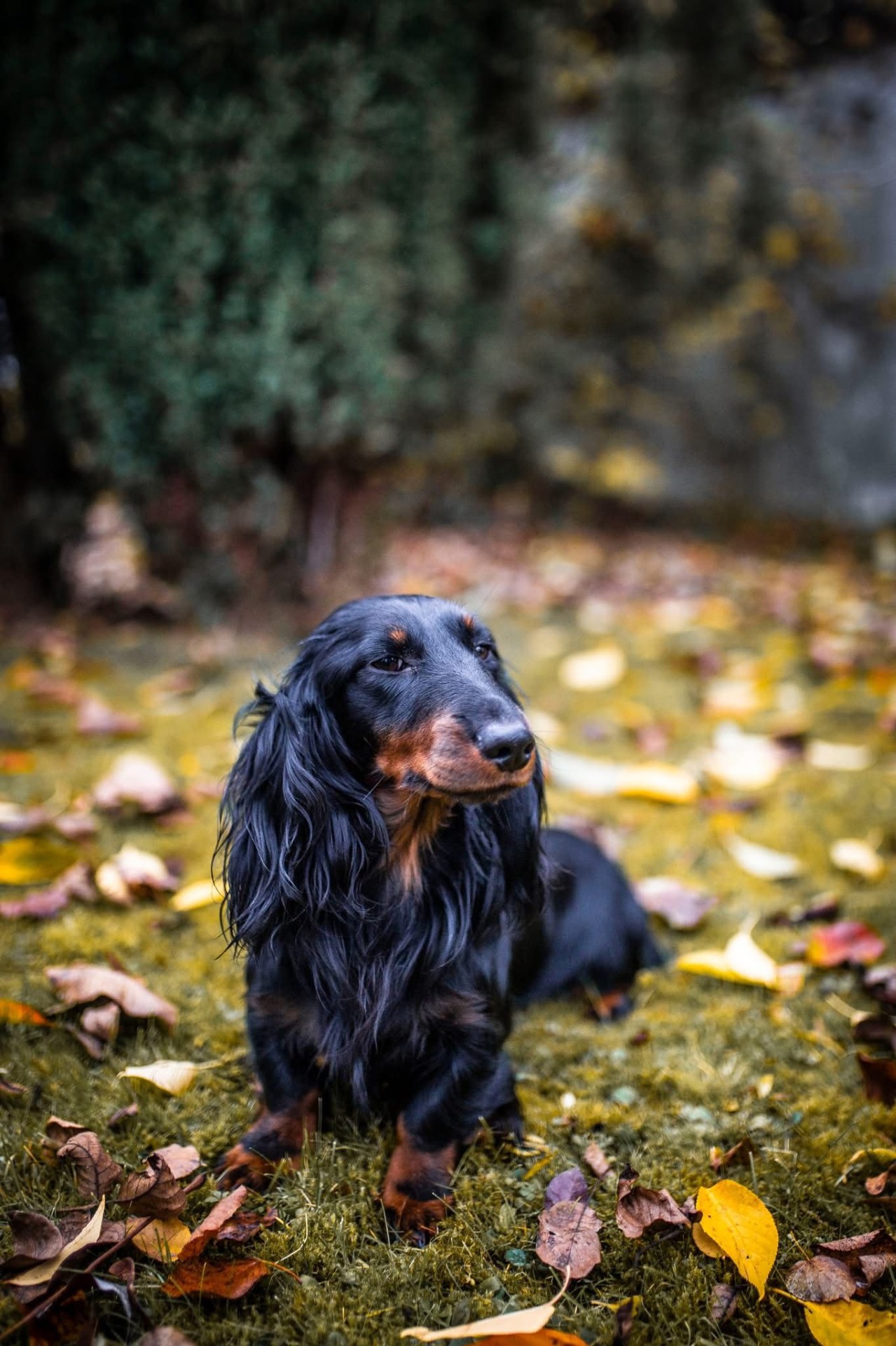 3. místo - Warro Amery