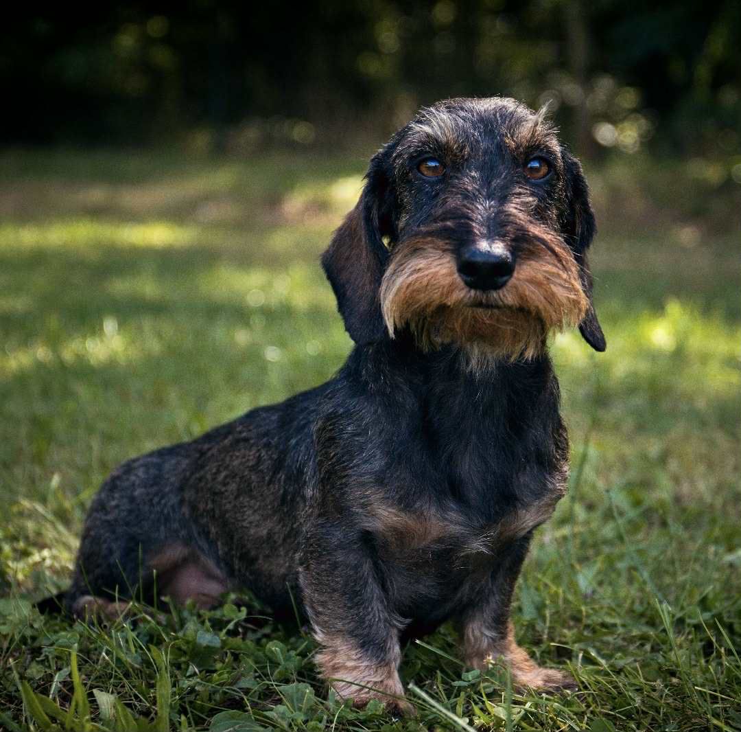 2. místo - Elizabeth Imunita Valentinka